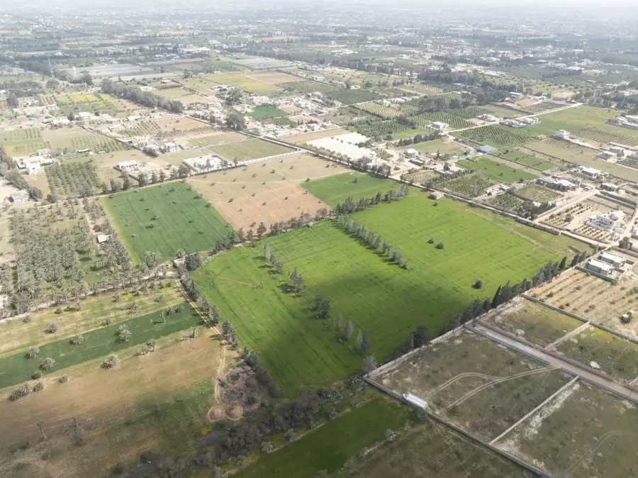 Zawiya