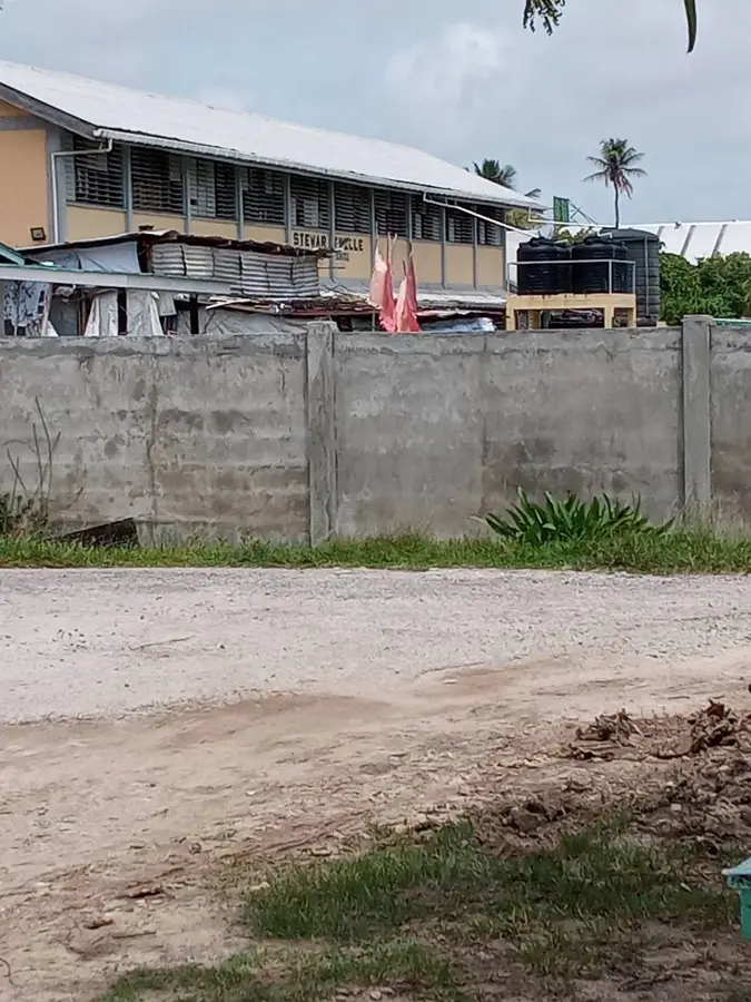 Zeelugt — Schoonord (Guyana)