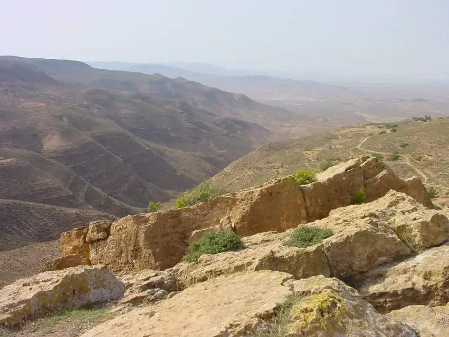 Livezile Zintan — Badr (Libia)
