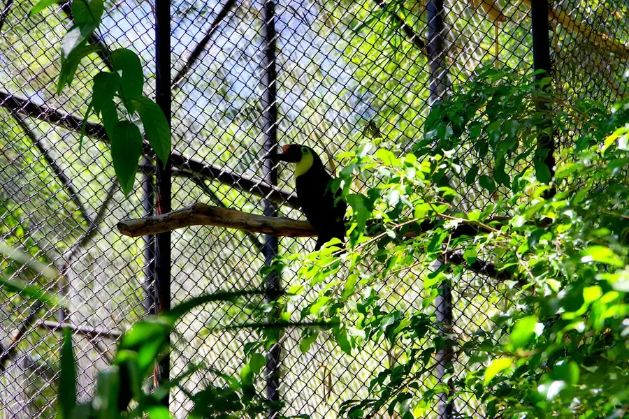 Zona Franca Saret — Parque Viva (Costa Rica)