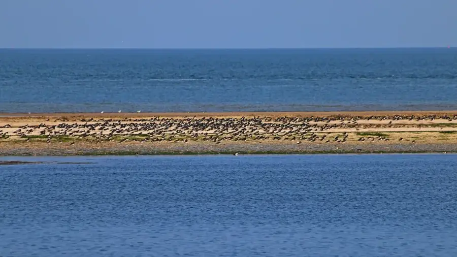 Küsten-Sandbank