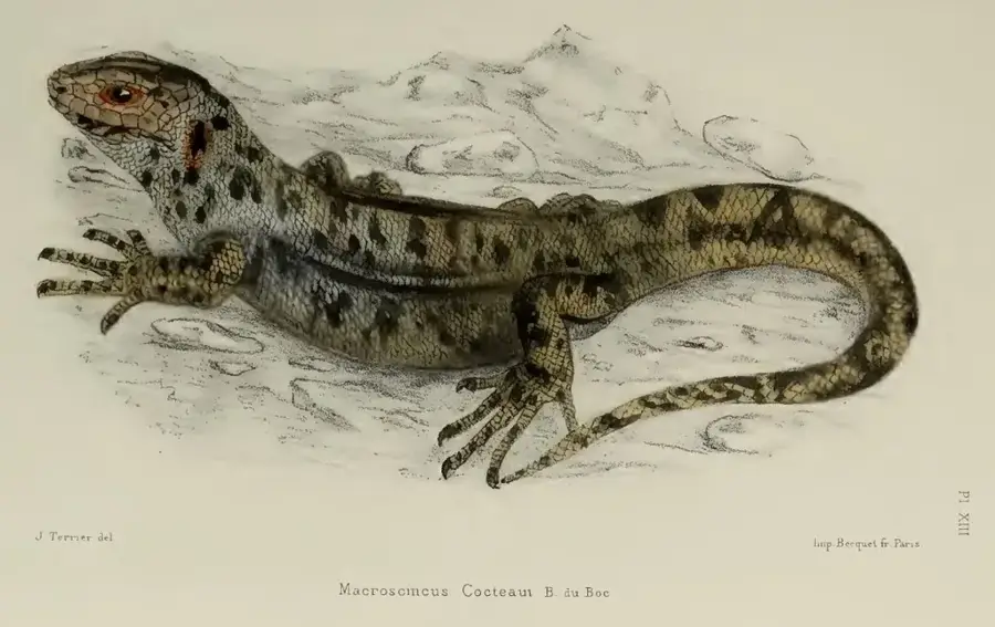 Grădina zoologică din Mindelo — Mindelo (Capul Verde)