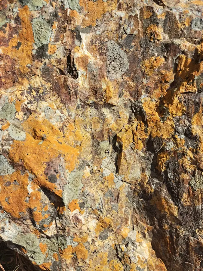 Zvishavane — Redcliff (Simbabwe)