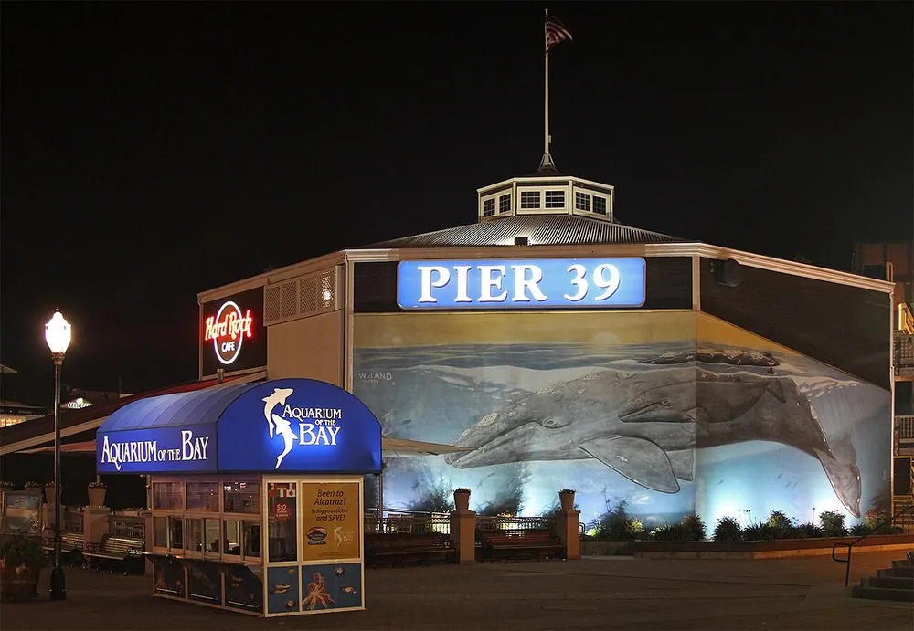 Aquarium of the Bay